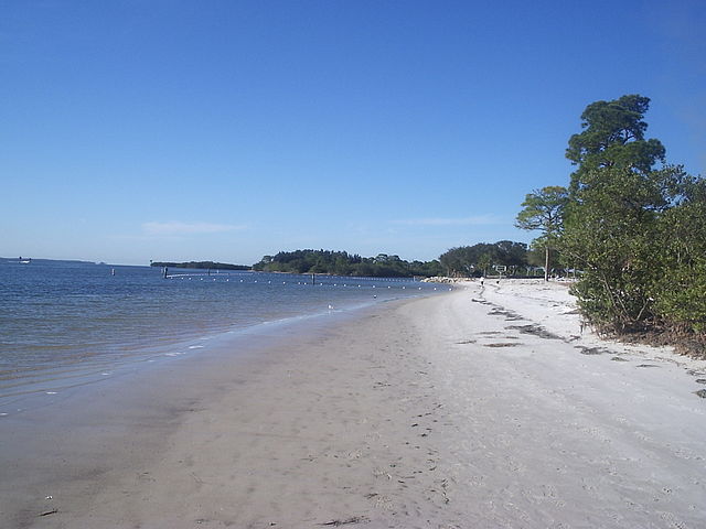 Sandy beach and calm waterfront under clear blue sky.