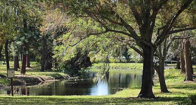 Lush green park with a tranquil pond.