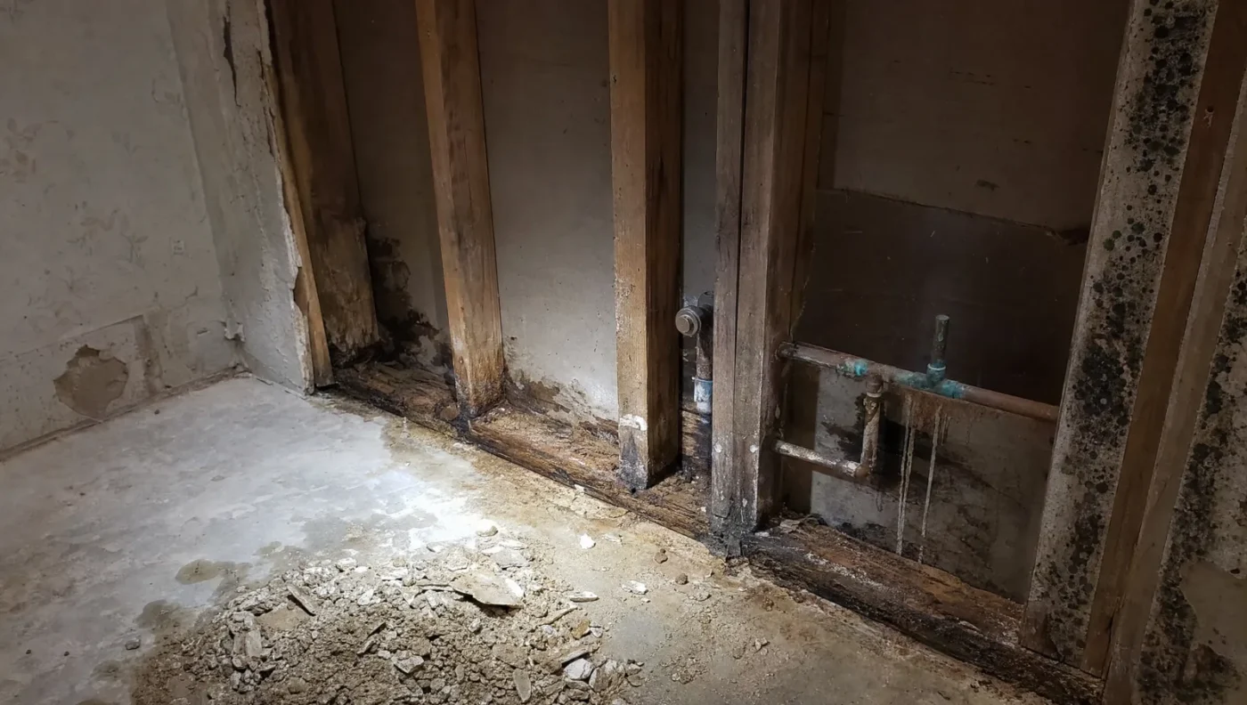 Bathroom demolition in a 1980s Florida home exposing rotted wood bottom plates, mold on the back of the drywall and a corroded copper supply pipe behind where the tub was